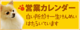 営業カレンダー